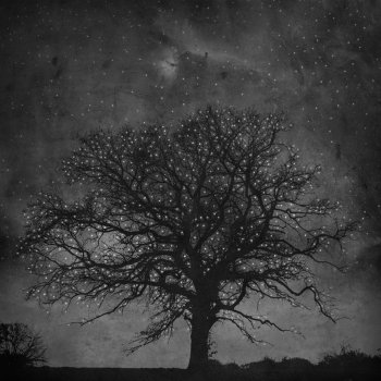 ∴ star tree
